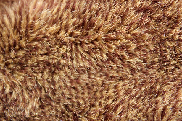 kredit für jeden ohne schufa